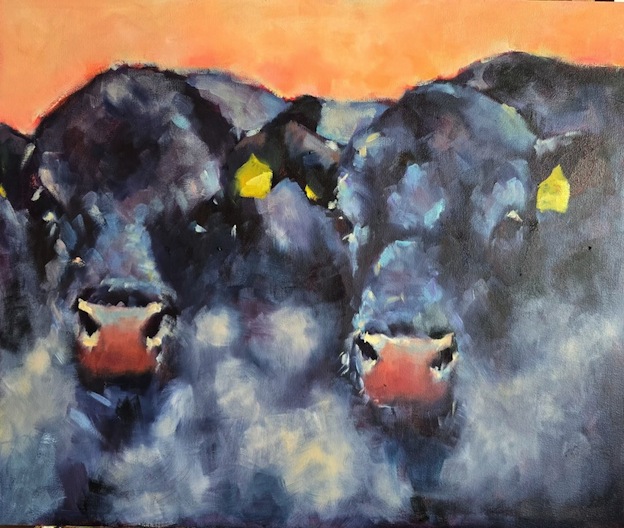 Jane McIntosh  Early   Morning Angus | McAtamney Gallery and Design Store | Geraldine NZ